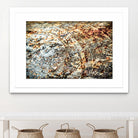 Retro Rust by PhotoINC Studio on GIANT ART - multicolor photography; floral/still life