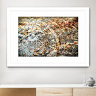 Retro Rust by PhotoINC Studio on GIANT ART - multicolor photography; floral/still life