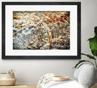 Retro Rust by PhotoINC Studio on GIANT ART - multicolor photography; floral/still life