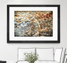 Retro Rust by PhotoINC Studio on GIANT ART - multicolor photography; floral/still life