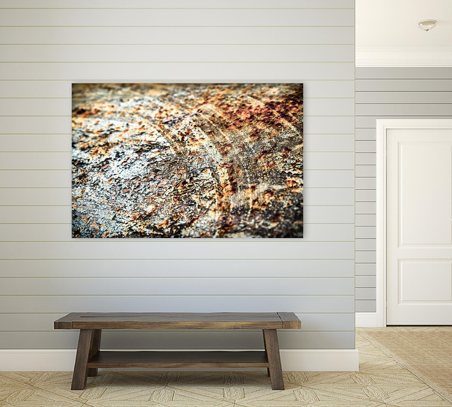 Retro Rust by PhotoINC Studio on GIANT ART - multicolor photography; floral/still life