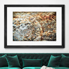 Retro Rust by PhotoINC Studio on GIANT ART - multicolor photography; floral/still life