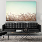 Retro Grass by PhotoINC Studio on GIANT ART - multicolor photography; landscapes