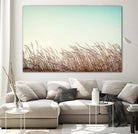 Retro Grass by PhotoINC Studio on GIANT ART - multicolor photography; landscapes