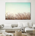 Retro Grass by PhotoINC Studio on GIANT ART - multicolor photography; landscapes