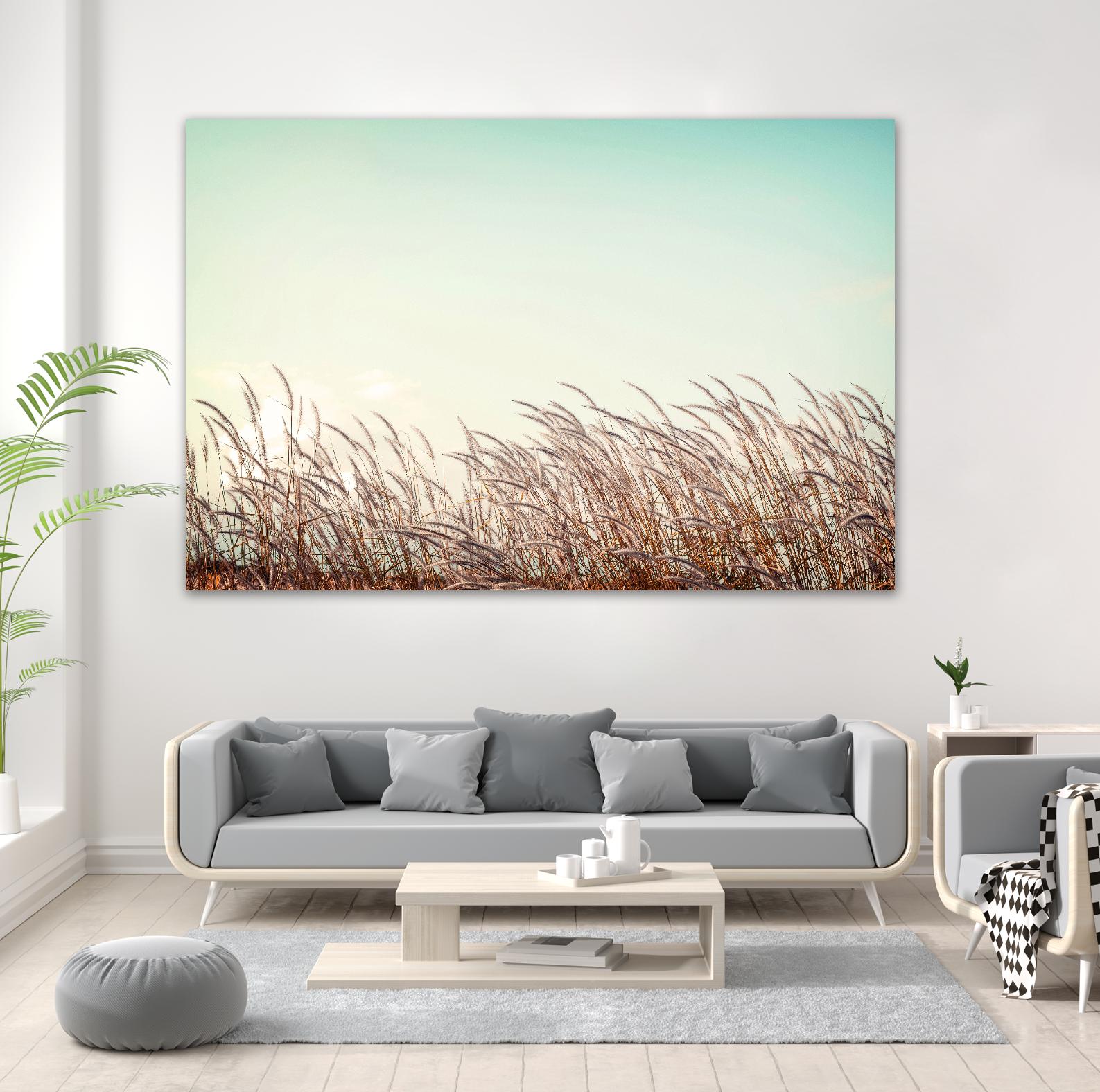 Retro Grass by PhotoINC Studio on GIANT ART - multicolor photography; landscapes