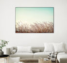 Retro Grass by PhotoINC Studio on GIANT ART - multicolor photography; landscapes