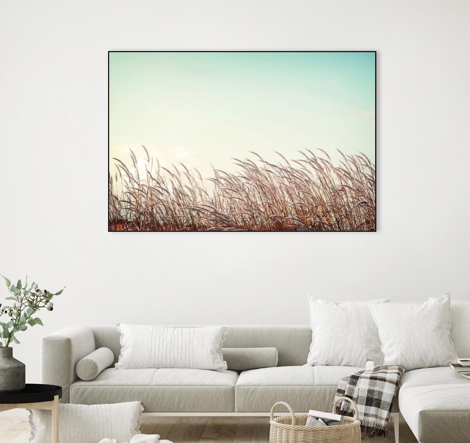 Retro Grass by PhotoINC Studio on GIANT ART - multicolor photography; landscapes