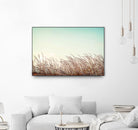 Retro Grass by PhotoINC Studio on GIANT ART - multicolor photography; landscapes