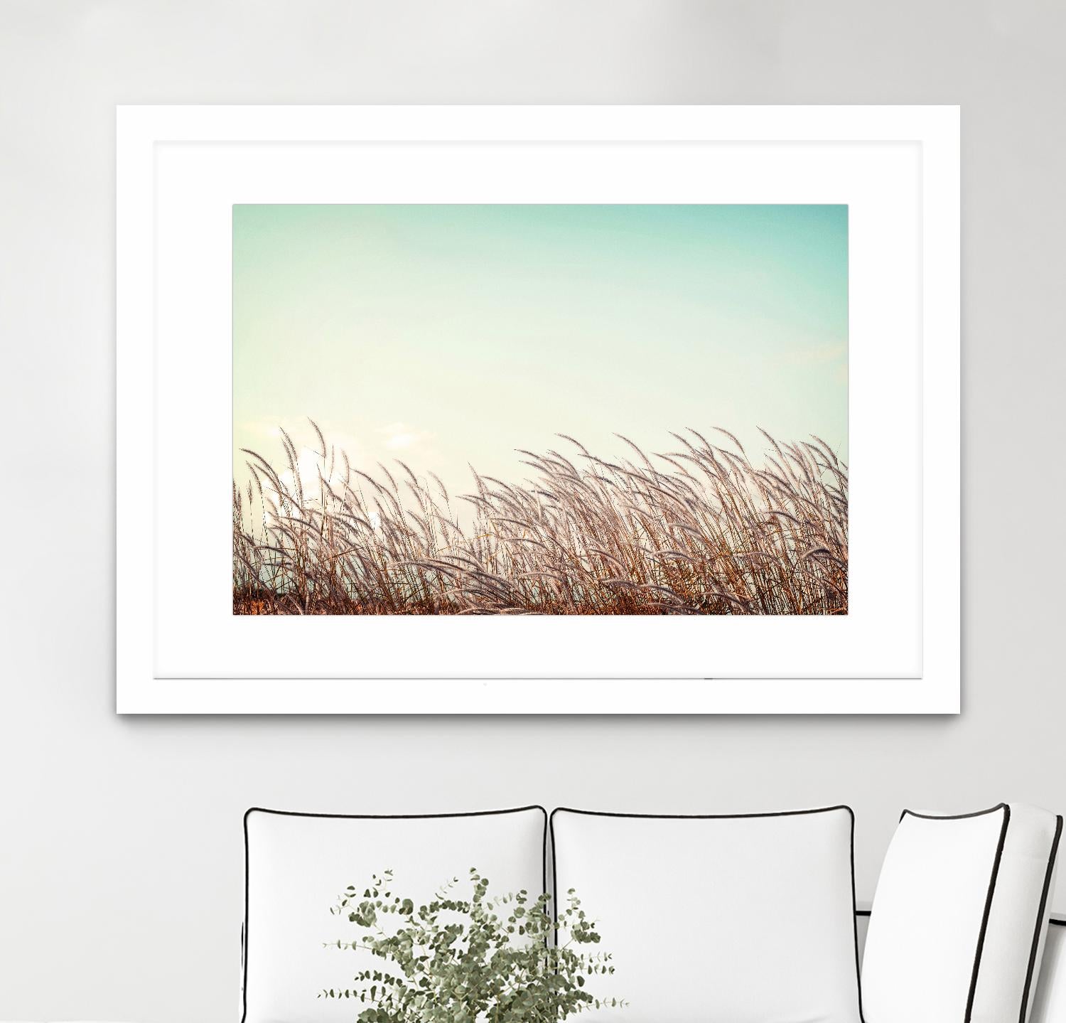 Retro Grass by PhotoINC Studio on GIANT ART - multicolor photography; landscapes