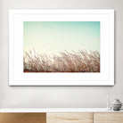 Retro Grass by PhotoINC Studio on GIANT ART - multicolor photography; landscapes