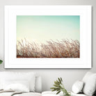 Retro Grass by PhotoINC Studio on GIANT ART - multicolor photography; landscapes