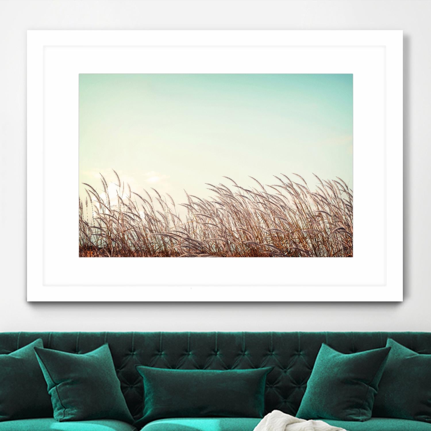 Retro Grass by PhotoINC Studio on GIANT ART - multicolor photography; landscapes