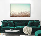 Retro Grass by PhotoINC Studio on GIANT ART - multicolor photography; landscapes
