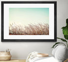 Retro Grass by PhotoINC Studio on GIANT ART - multicolor photography; landscapes