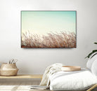 Retro Grass by PhotoINC Studio on GIANT ART - multicolor photography; landscapes