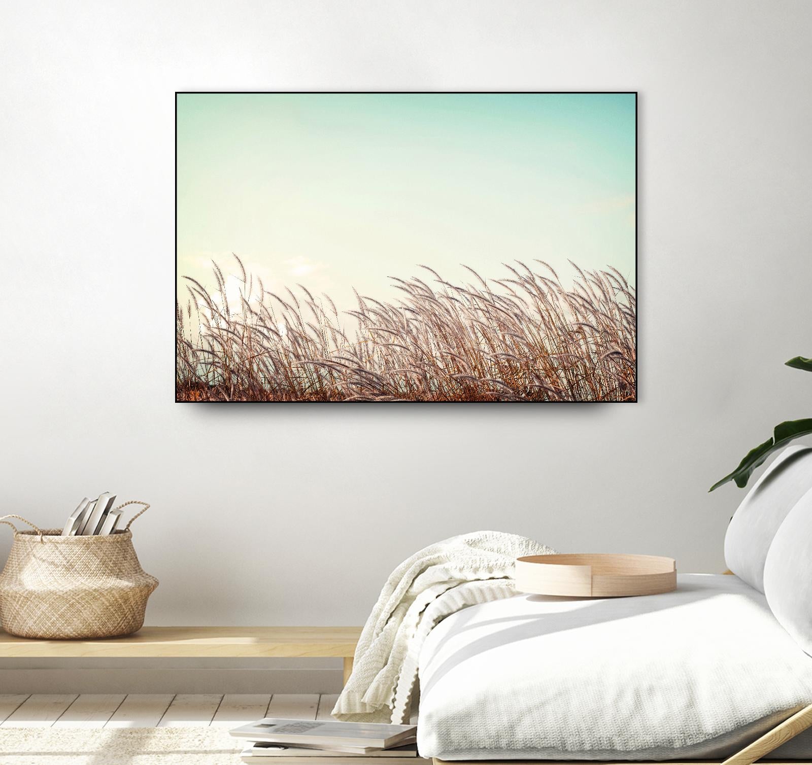 Retro Grass by PhotoINC Studio on GIANT ART - multicolor photography; landscapes