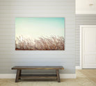 Retro Grass by PhotoINC Studio on GIANT ART - multicolor photography; landscapes