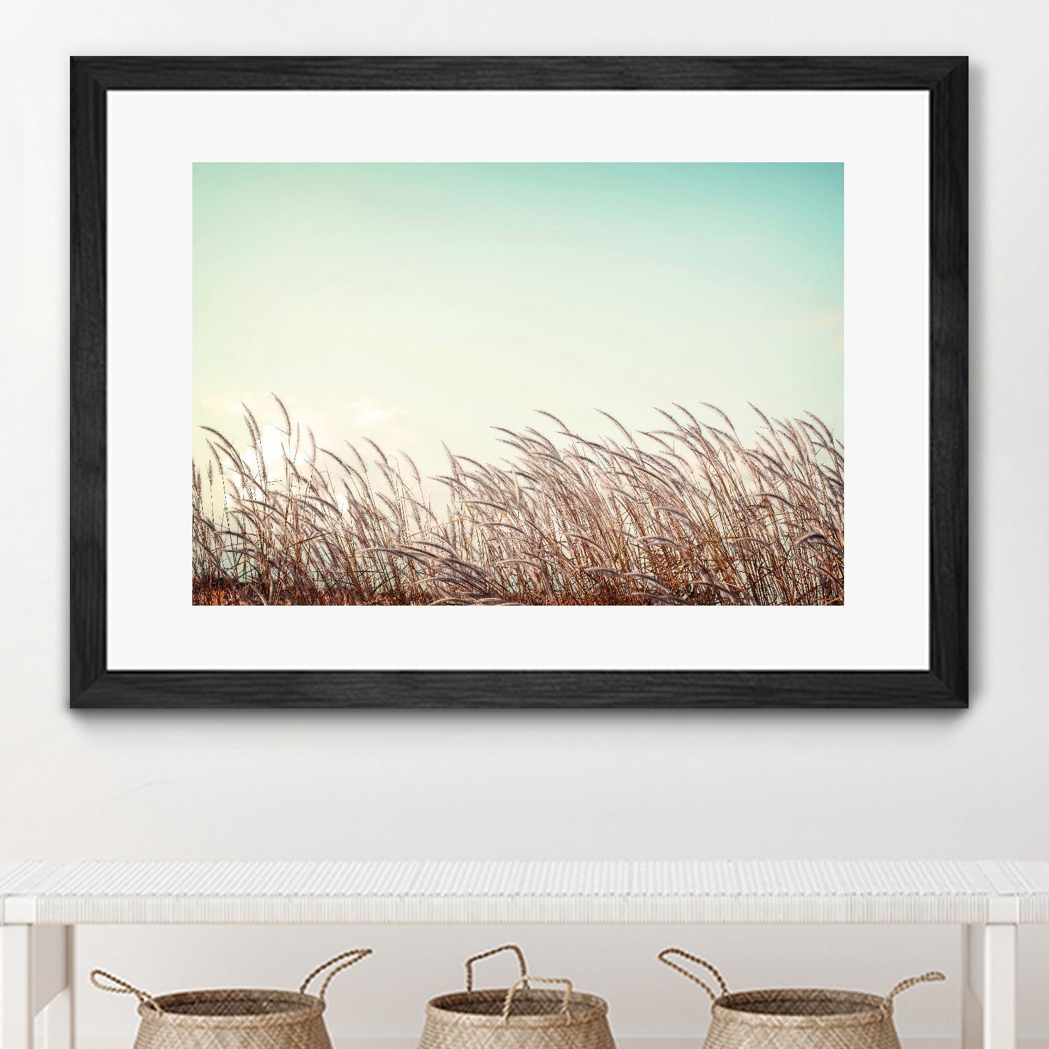 Retro Grass by PhotoINC Studio on GIANT ART - multicolor photography; landscapes