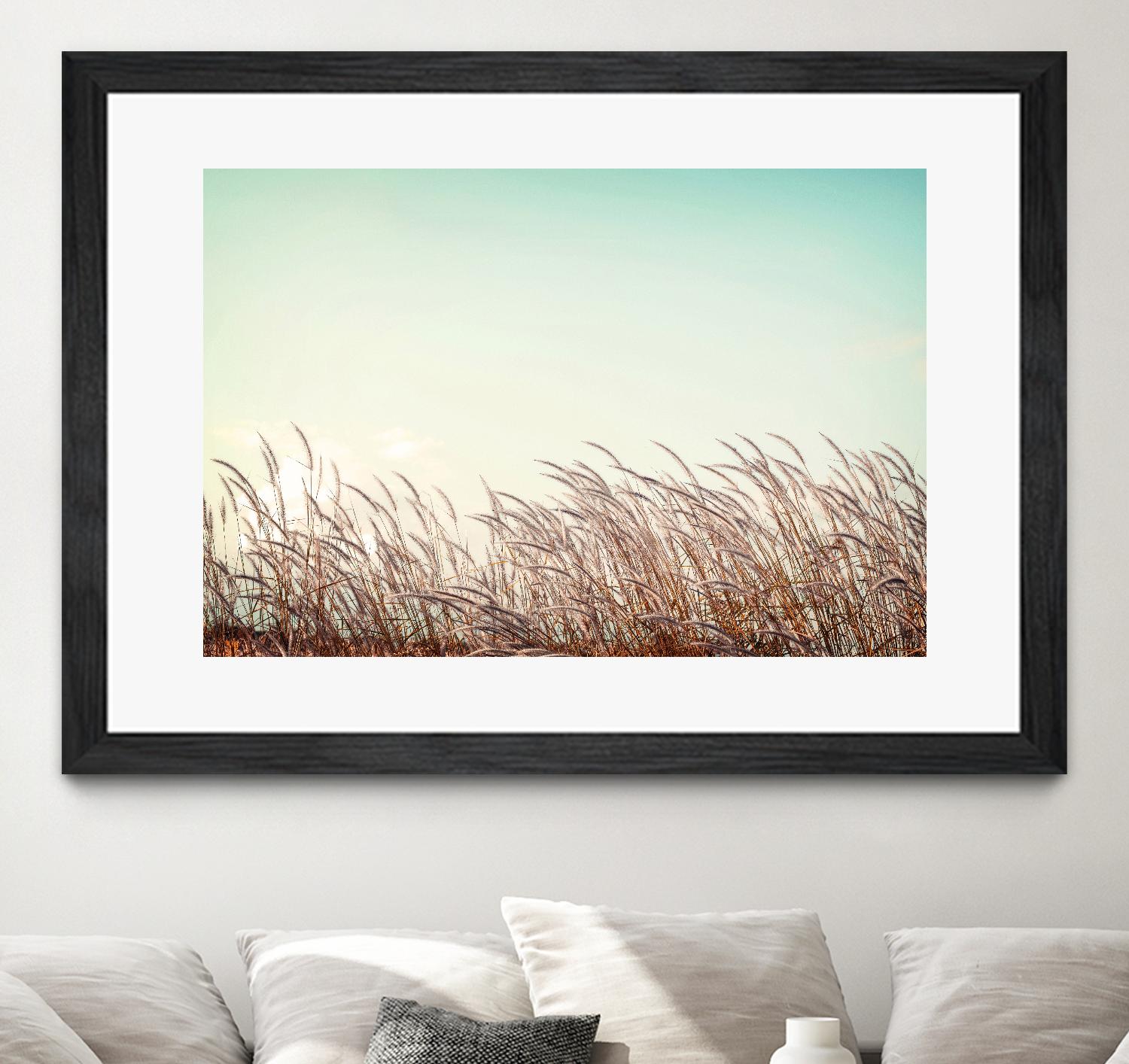 Retro Grass by PhotoINC Studio on GIANT ART - multicolor photography; landscapes