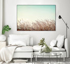 Retro Grass by PhotoINC Studio on GIANT ART - multicolor photography; landscapes