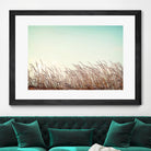 Retro Grass by PhotoINC Studio on GIANT ART - multicolor photography; landscapes