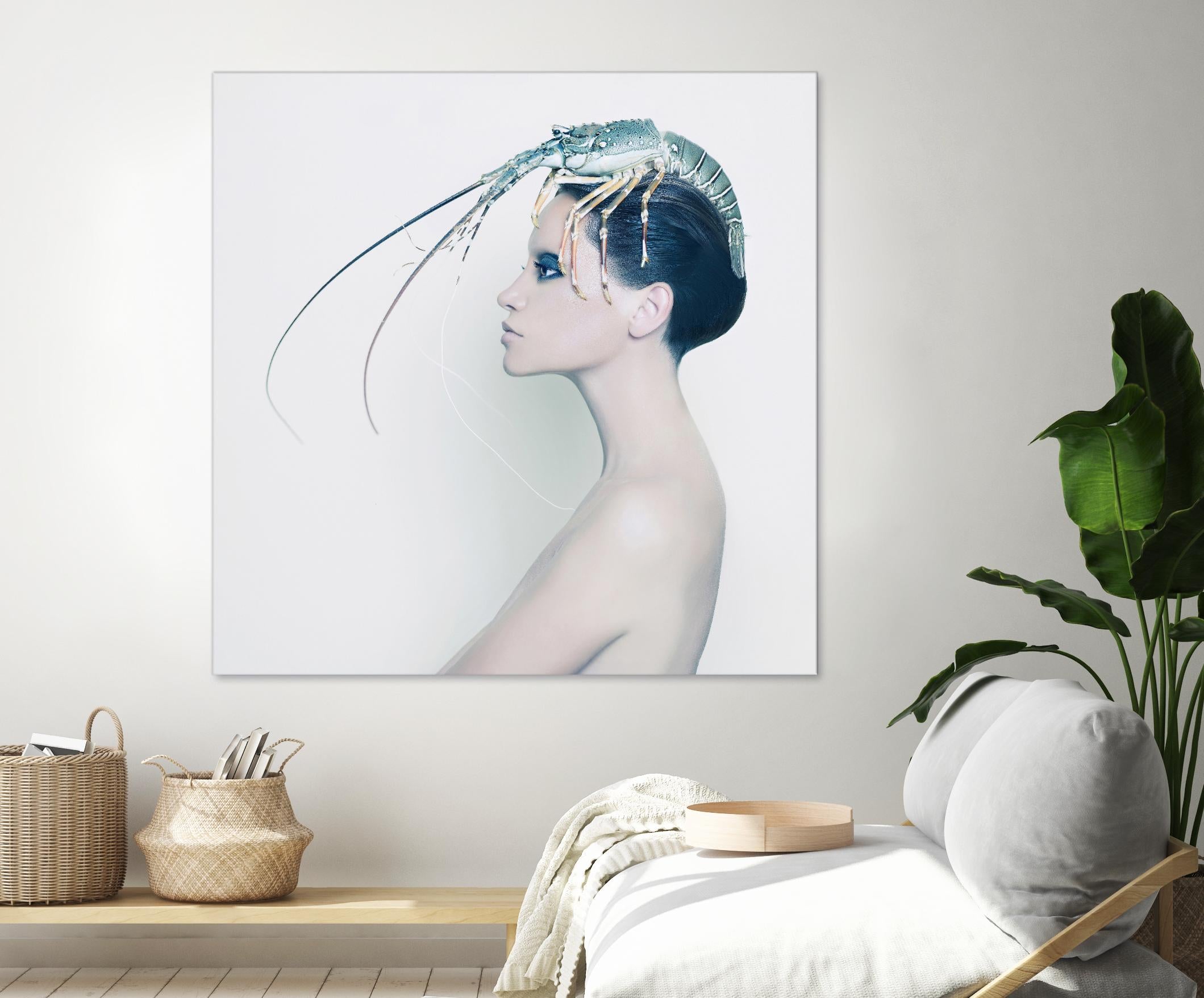 The Lady and the Hummer by Incado on GIANT ART - multicolor photography; figurative