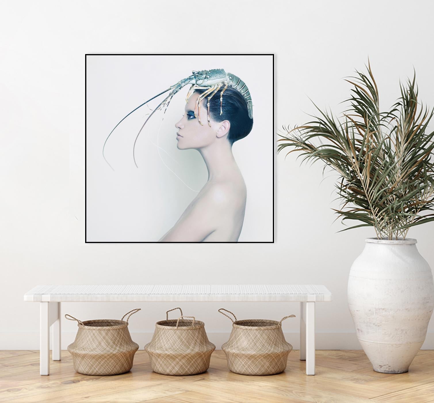 The Lady and the Hummer by Incado on GIANT ART - multicolor photography; figurative