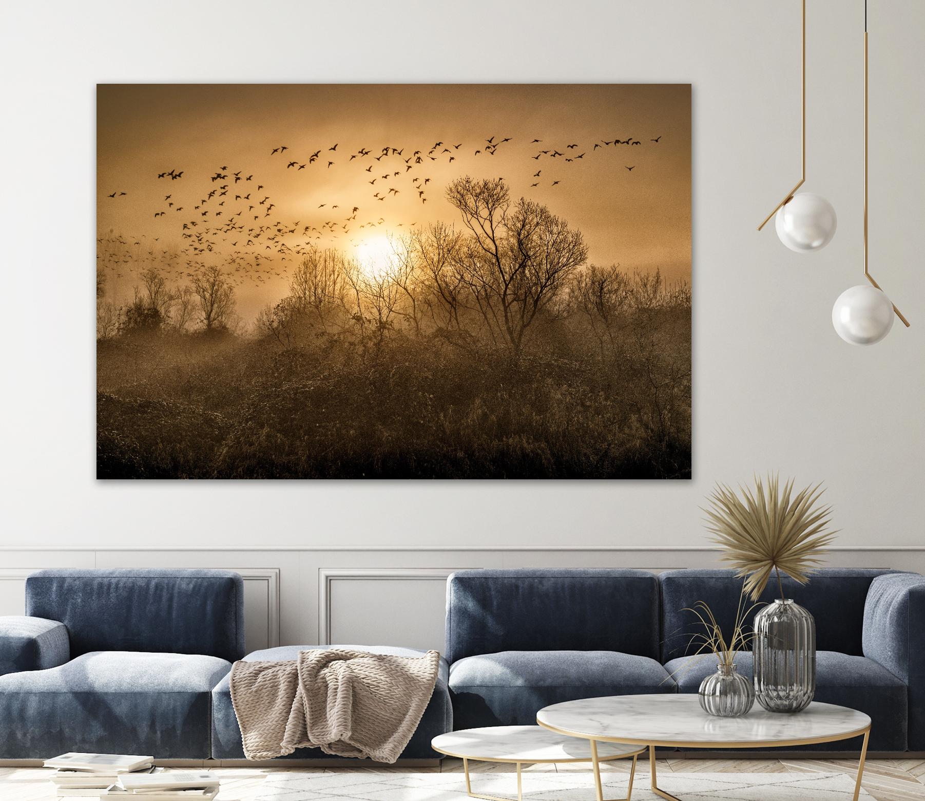 The Flight by Vladimir Kostka on GIANT ART - multicolor photography; landscapes