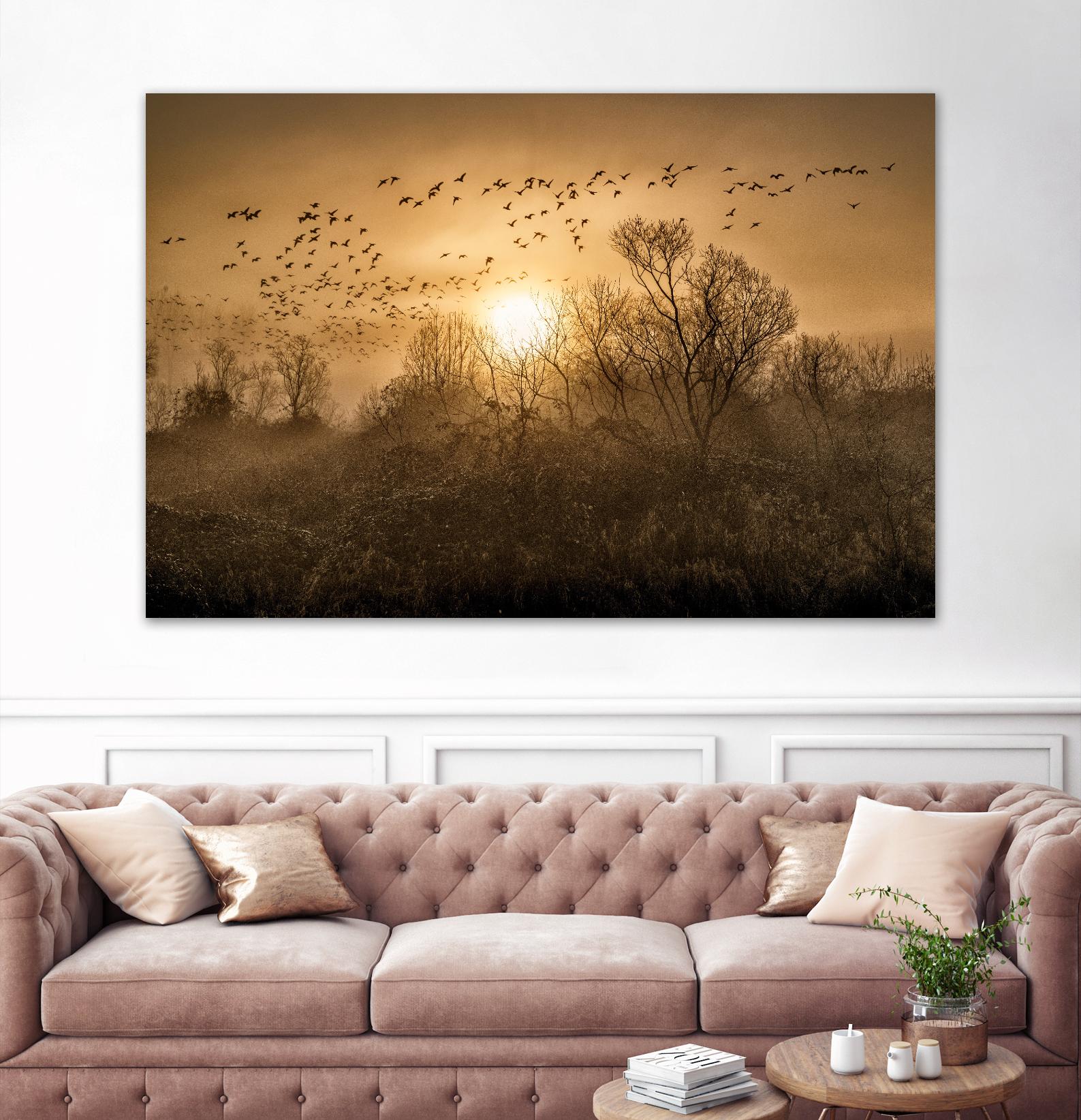 The Flight by Vladimir Kostka on GIANT ART - multicolor photography; landscapes