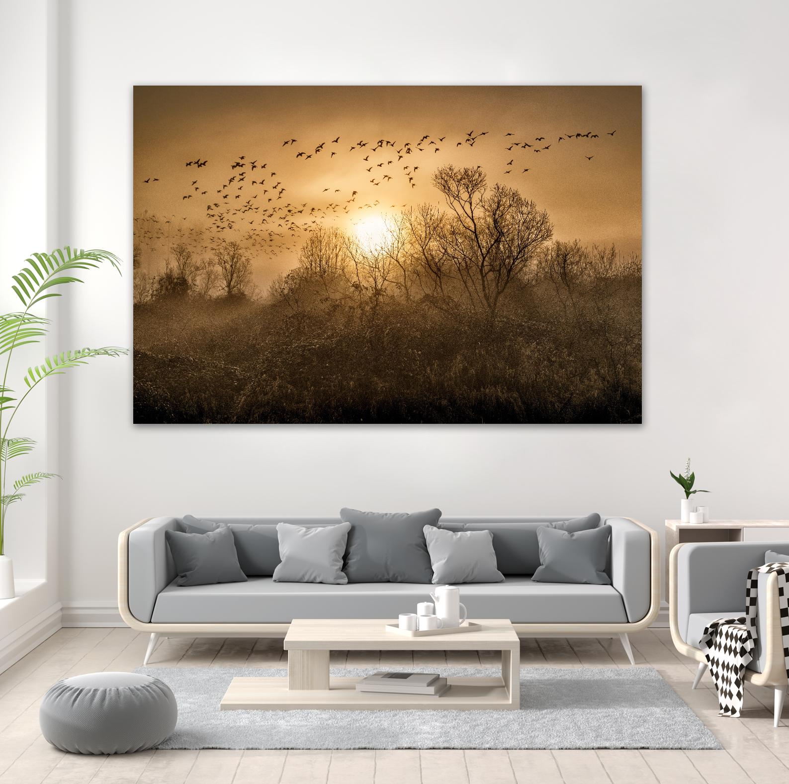 The Flight by Vladimir Kostka on GIANT ART - multicolor photography; landscapes