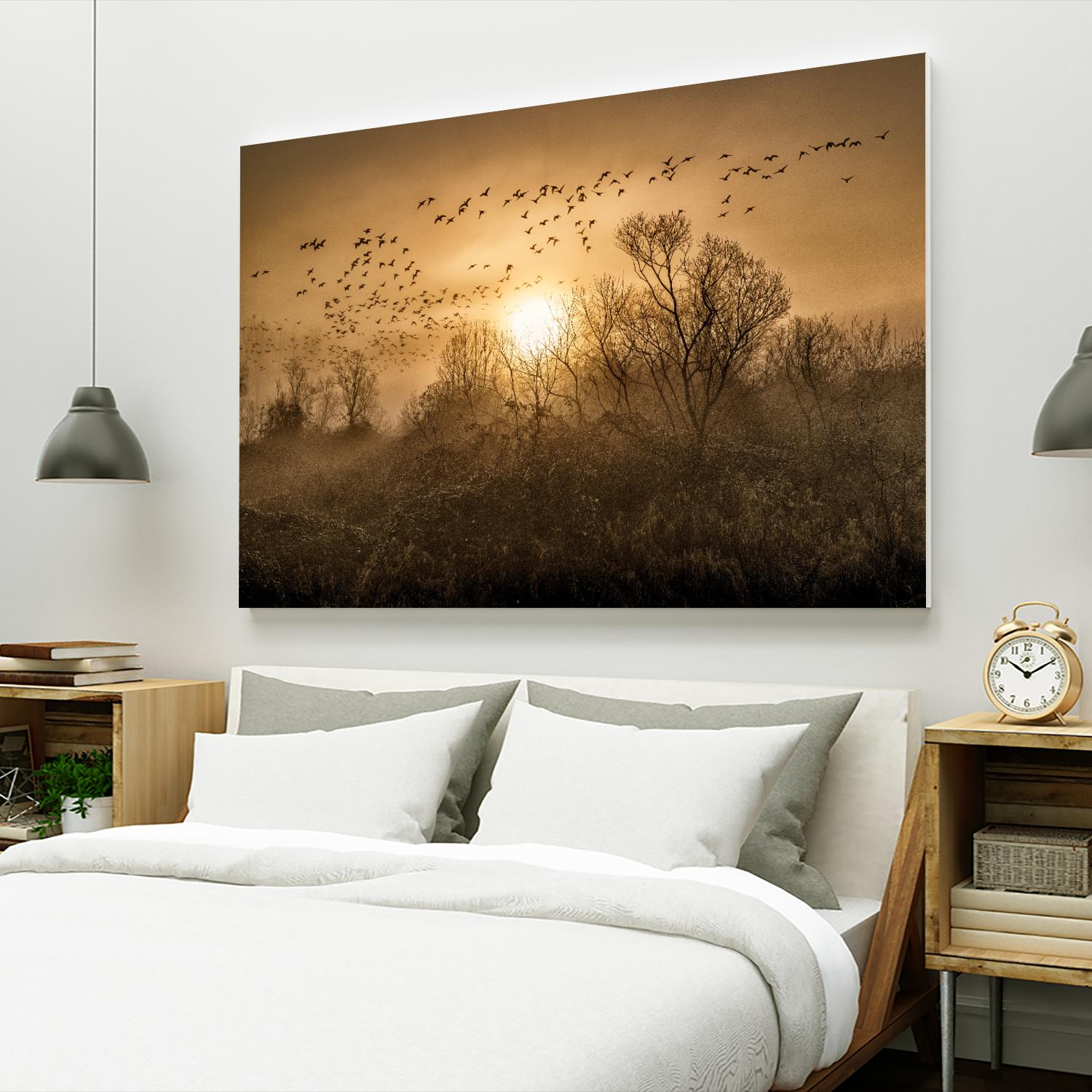 The Flight by Vladimir Kostka on GIANT ART - multicolor photography; landscapes