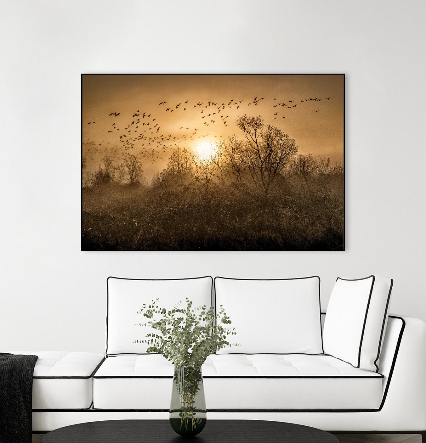 The Flight by Vladimir Kostka on GIANT ART - multicolor photography; landscapes