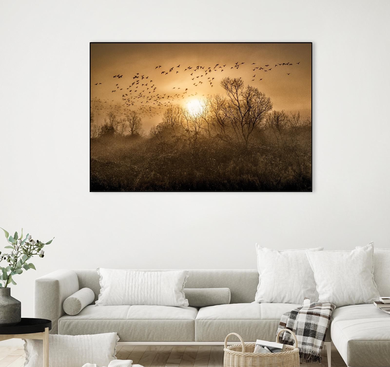 The Flight by Vladimir Kostka on GIANT ART - multicolor photography; landscapes