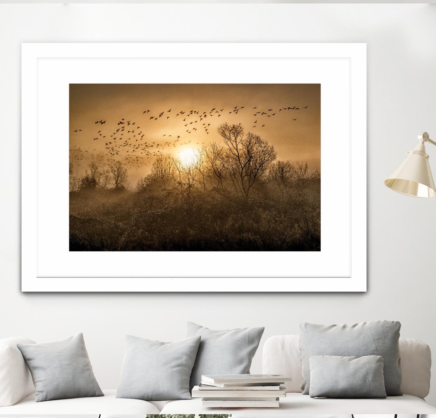 The Flight by Vladimir Kostka on GIANT ART - multicolor photography; landscapes