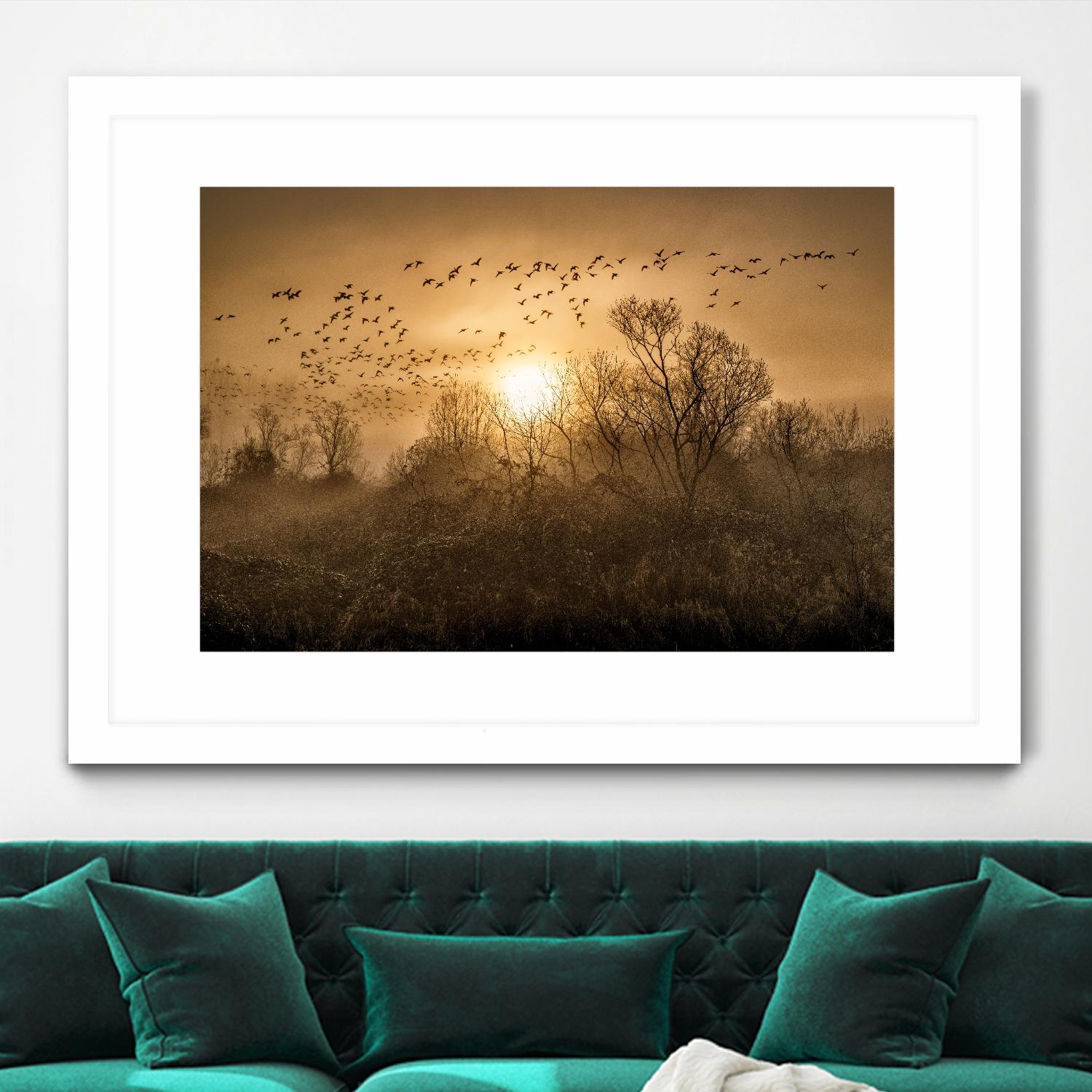 The Flight by Vladimir Kostka on GIANT ART - multicolor photography; landscapes