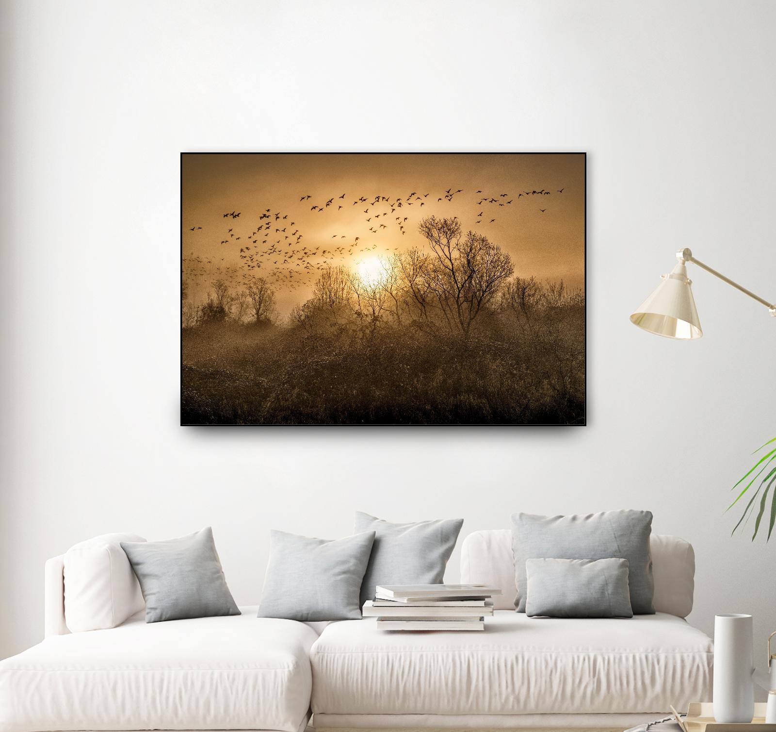 The Flight by Vladimir Kostka on GIANT ART - multicolor photography; landscapes