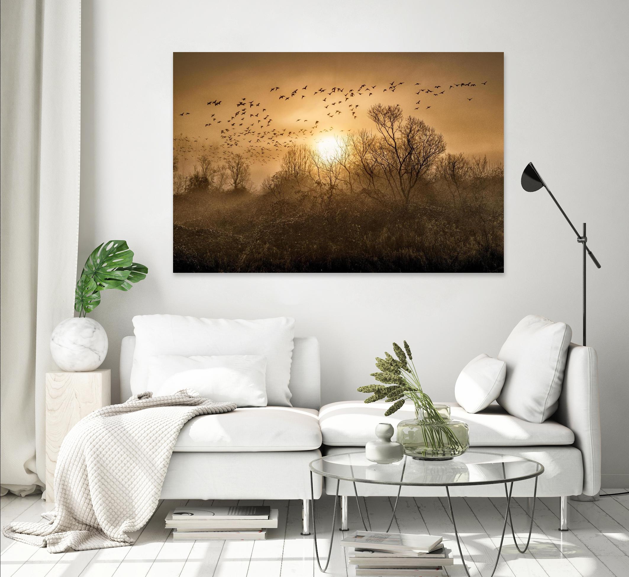 The Flight by Vladimir Kostka on GIANT ART - multicolor photography; landscapes