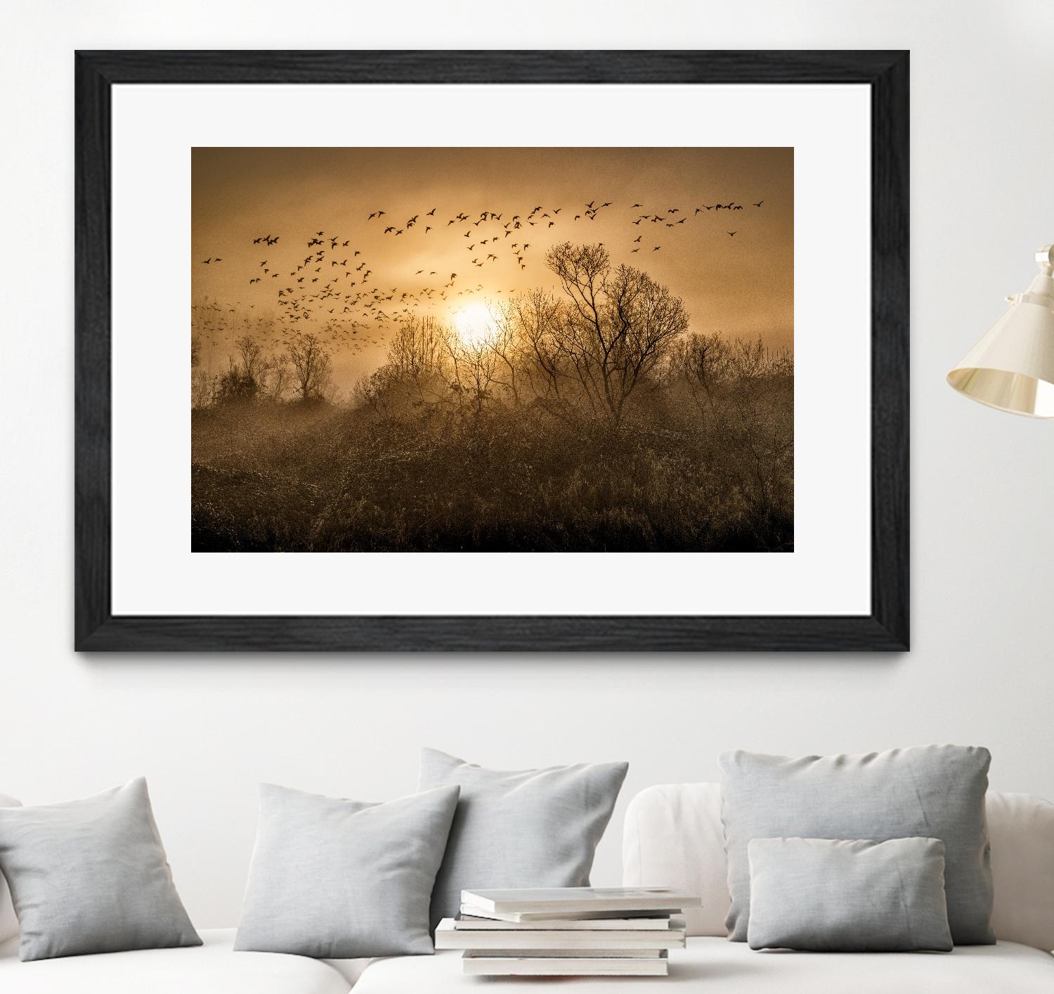 The Flight by Vladimir Kostka on GIANT ART - multicolor photography; landscapes