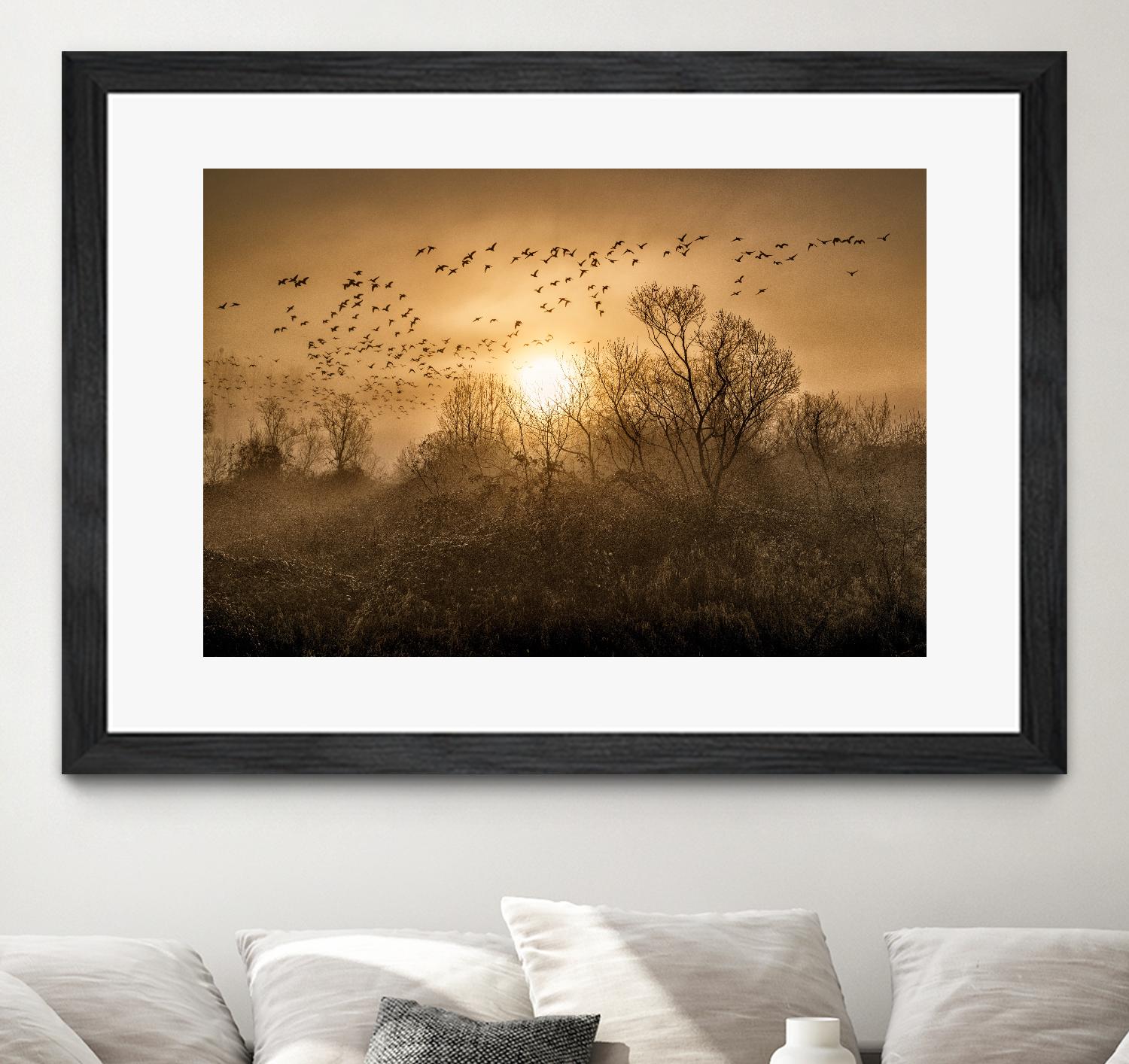 The Flight by Vladimir Kostka on GIANT ART - multicolor photography; landscapes