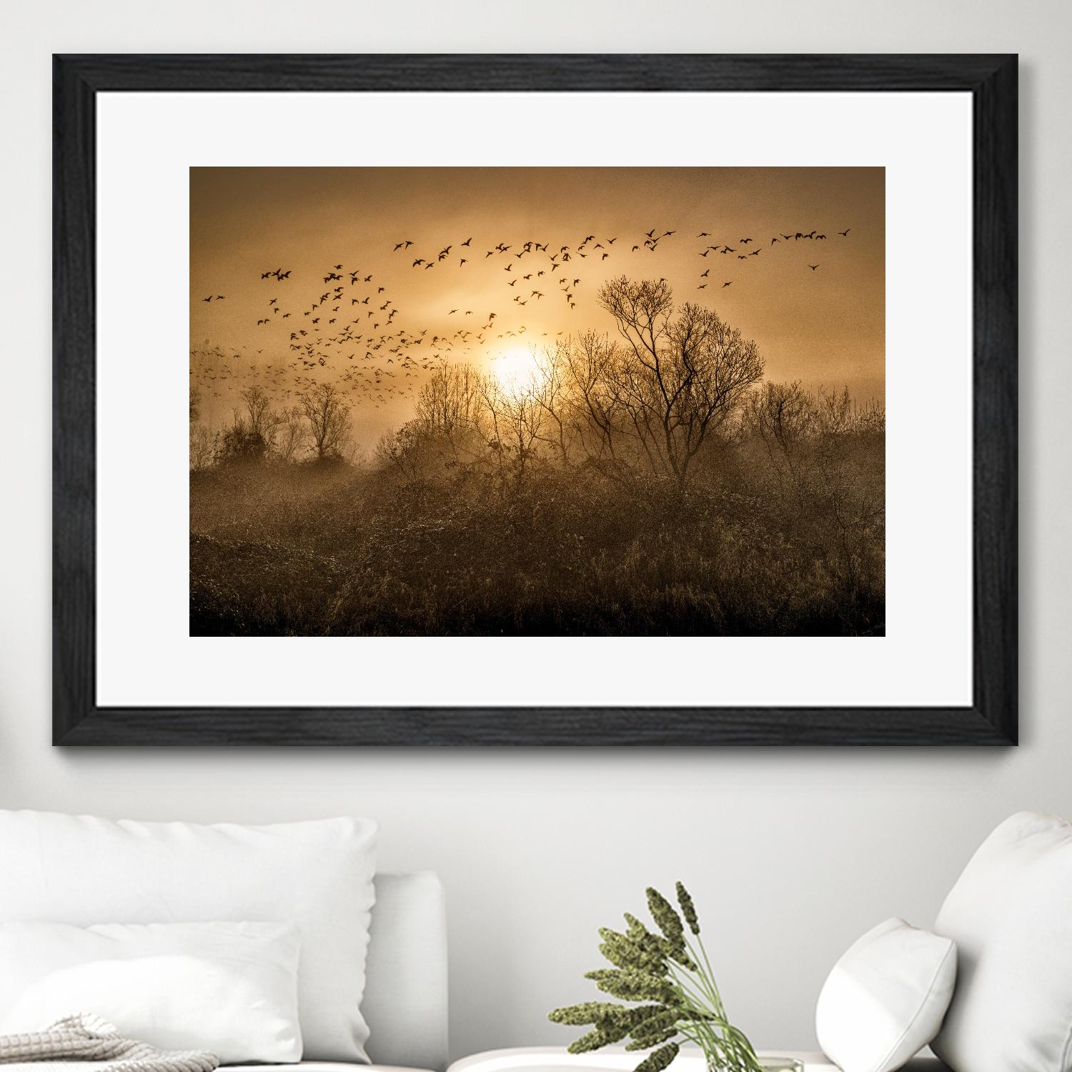 The Flight by Vladimir Kostka on GIANT ART - multicolor photography; landscapes