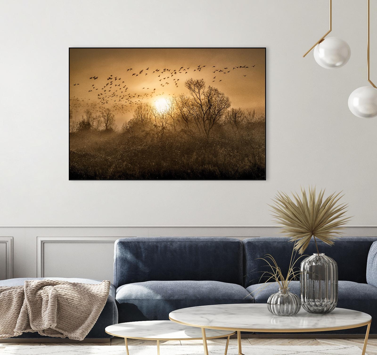 The Flight by Vladimir Kostka on GIANT ART - multicolor photography; landscapes