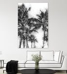 Dorado Palms 1 by Golie Miamee on GIANT ART - multicolor photography; landscapes