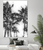 Dorado Palms 1 by Golie Miamee on GIANT ART - multicolor photography; landscapes
