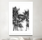 Dorado Palms 1 by Golie Miamee on GIANT ART - multicolor photography; landscapes