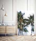 Dorado Palms 2 by Golie Miamee on GIANT ART - multicolor photography; landscapes