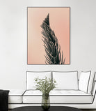 Upwards 1 by Design Fabrikken on GIANT ART - multi floral/still life, photography