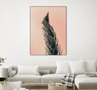 Upwards 1 by Design Fabrikken on GIANT ART - multi floral/still life, photography