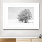 Depth of Field by Matthew Platz on GIANT ART - multicolor photography; landscapes