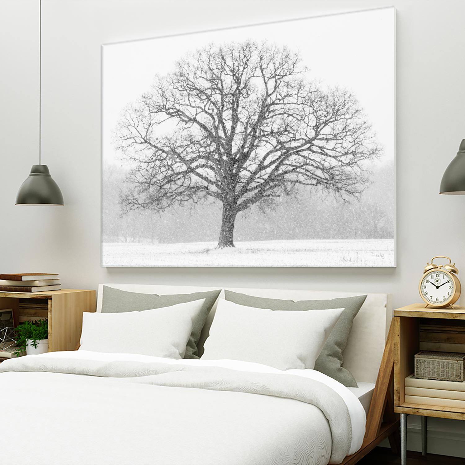 Old Man Winter by Matthew Platz on GIANT ART - multicolor photography; landscapes